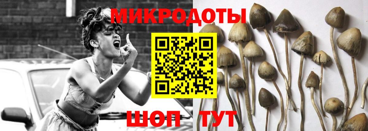 Галлюциногенные грибы Psilocybine cubensis Сердобск